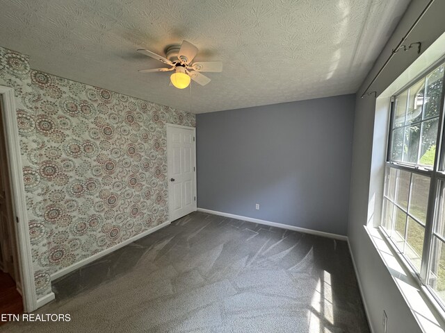 603 Water Oak Dr, Seymour, TN 37865 - photo 28