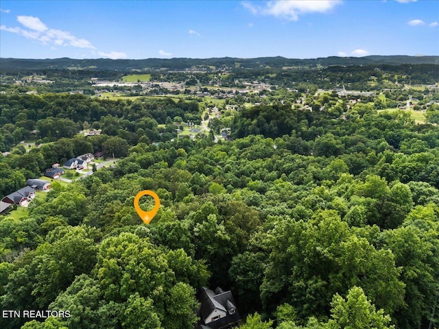 573 Hilltop Dr, Jacksboro, TN 37757 - bird's eye view of a forest