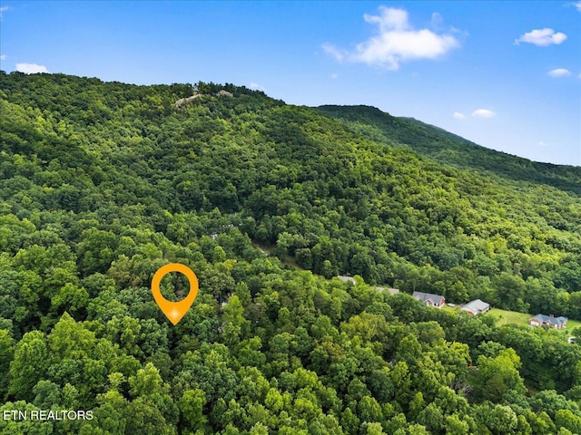 573 Hilltop Dr, Jacksboro, TN 37757 - aerial view of a forest