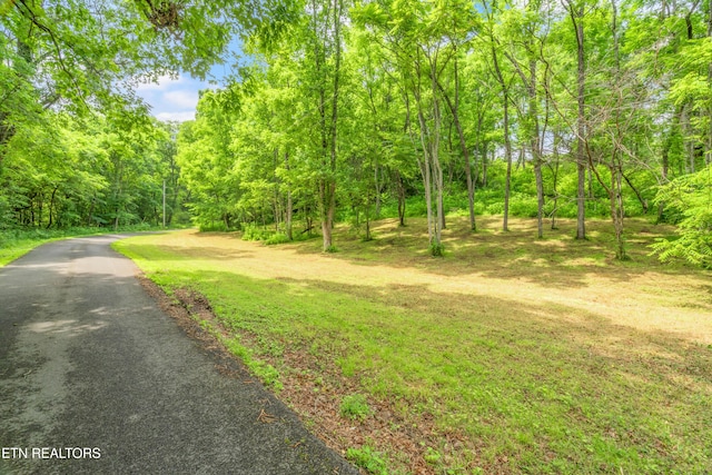 LOT1 N Slope Ln, Clinton, TN 37716