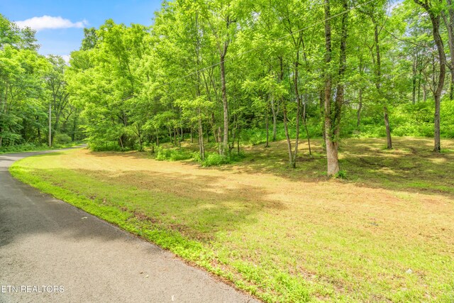LOT1 N Slope Ln, Clinton, TN 37716