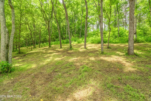 LOT1 N Slope Ln, Clinton, TN 37716