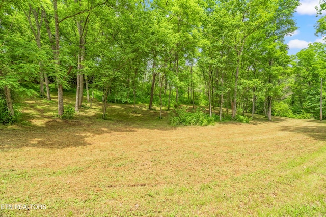 LOT1 N Slope Ln, Clinton, TN 37716