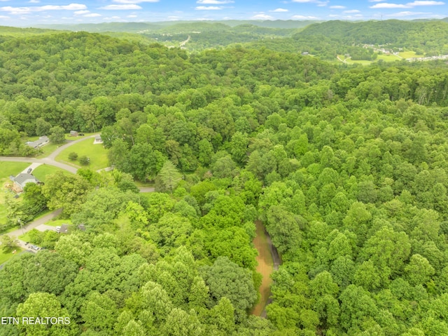 LOT1 N Slope Ln, Clinton, TN 37716