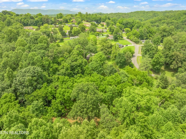 LOT1 N Slope Ln, Clinton, TN 37716