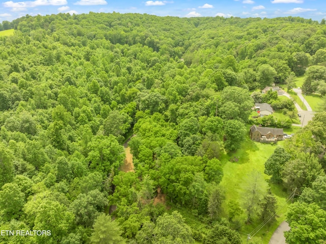 LOT1 N Slope Ln, Clinton, TN 37716