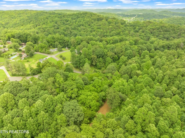 LOT1 N Slope Ln, Clinton, TN 37716
