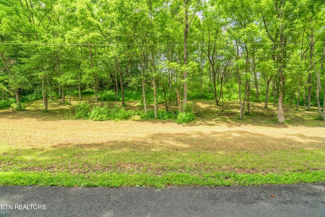 LOT1 N Slope Ln, Clinton, TN 37716