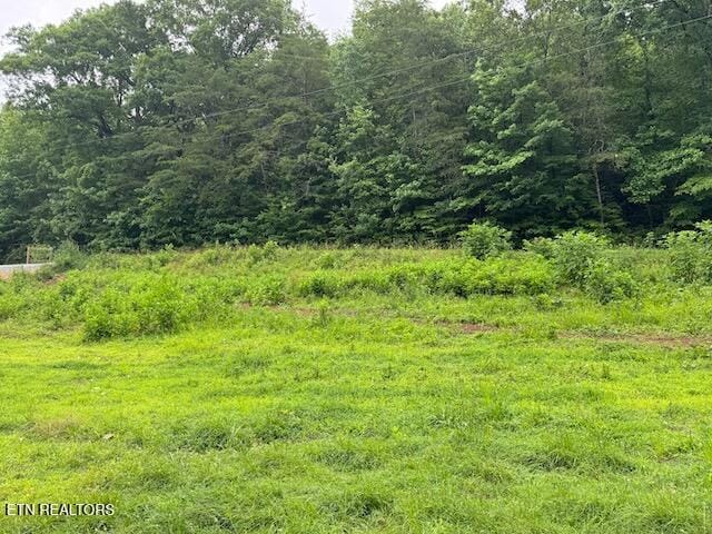 301 Edwards Ln, Rockwood, TN 37854 - photo 27