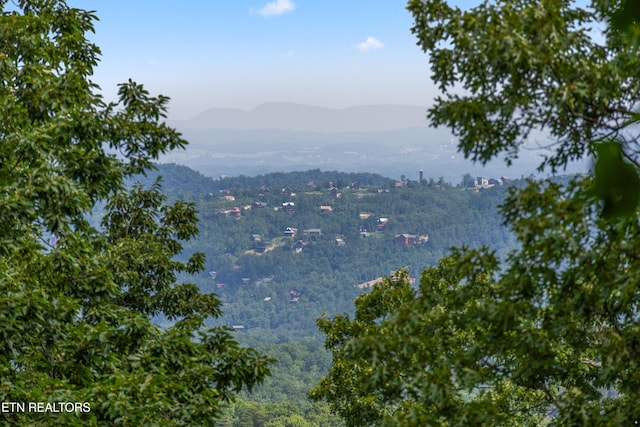 1930 Orchard Dr, Sevierville, TN 37876 - water view featuring a mountain backdrop and a forest