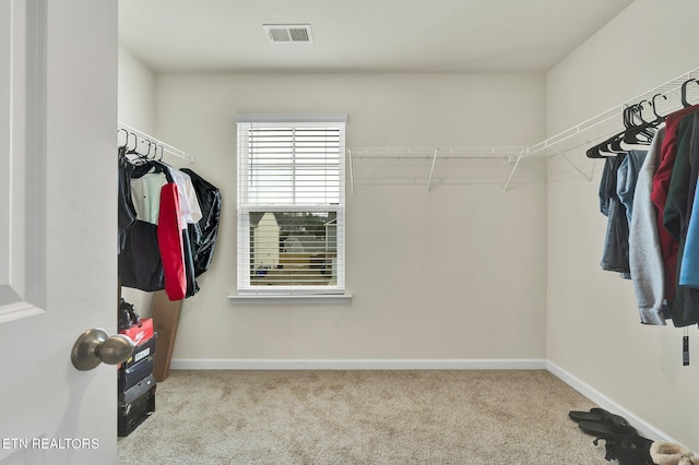3235 NE Rolling Meadow Way, Cleveland, TN 37323 - spacious closet with carpet floors