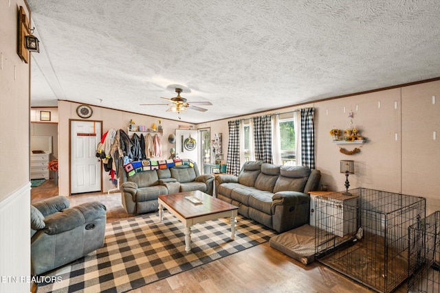 314 Warren St, Madisonville, TN 37354 - photo 4