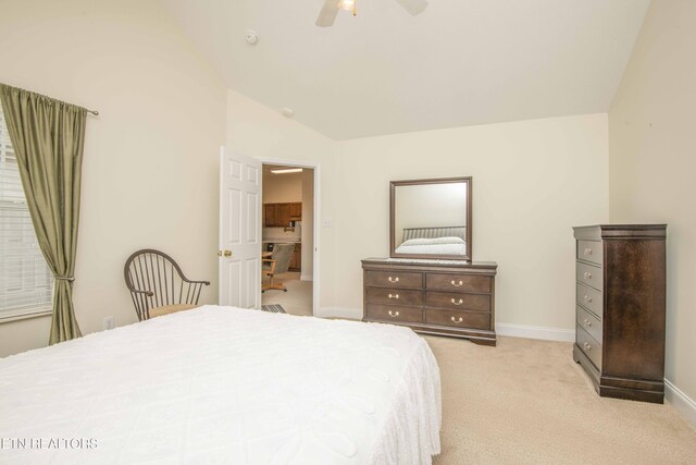 2605 Knob Creek Ln, Knoxville, TN 37912 - photo 24