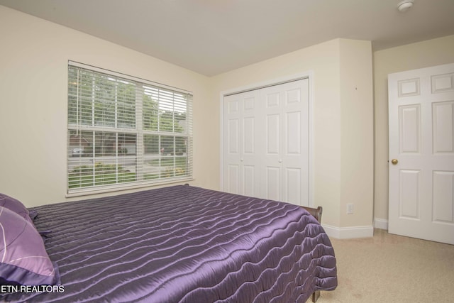 2605 Knob Creek Ln, Knoxville, TN 37912 - photo 28