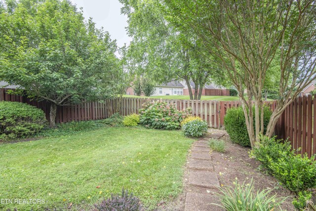 2605 Knob Creek Ln, Knoxville, TN 37912 - photo 38