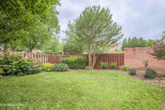 2605 Knob Creek Ln, Knoxville, TN 37912 - photo 41