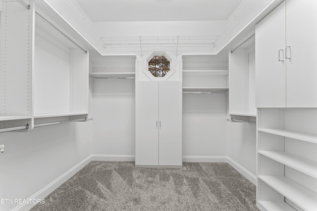 5216 Tazewell Pointe Way, Knoxville, TN 37918 - photo 24