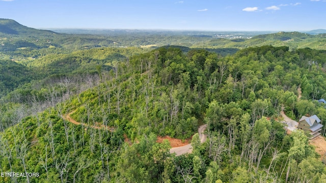 LOT48 Spurling Rd, Sevierville, TN 37862