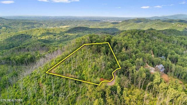 LOT48 Spurling Rd, Sevierville, TN 37862