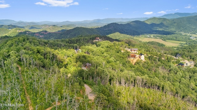 LOT48 Spurling Rd, Sevierville, TN 37862
