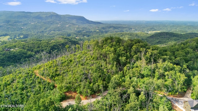LOT48 Spurling Rd, Sevierville, TN 37862