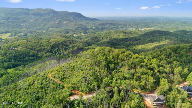 LOT48 Spurling Rd, Sevierville, TN 37862