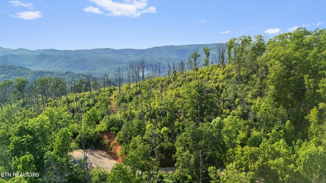LOT48 Spurling Rd, Sevierville, TN 37862