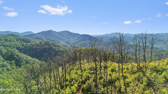 LOT48 Spurling Rd, Sevierville, TN 37862
