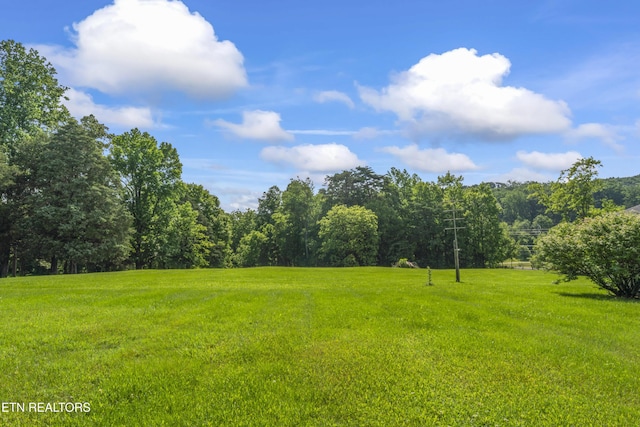 7518 Clapps Chapel Rd, Corryton, TN 37721 - view of green lawn with a forest view