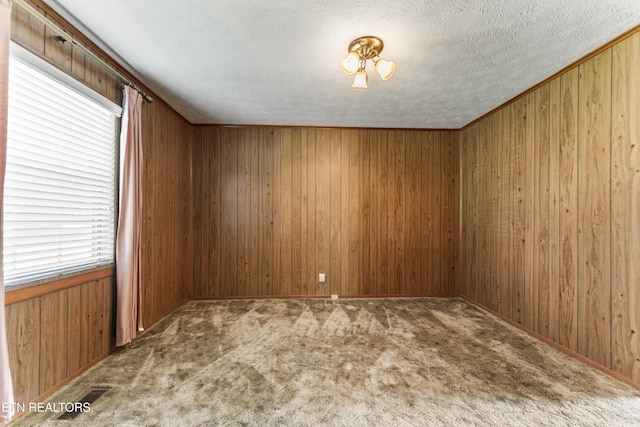 7518 Clapps Chapel Rd, Corryton, TN 37721 - carpeted spare room featuring wood walls and a textured ceiling