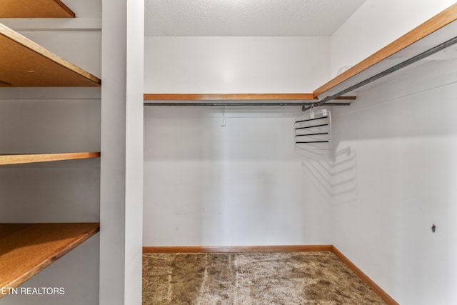 7518 Clapps Chapel Rd, Corryton, TN 37721 - spacious closet with carpet