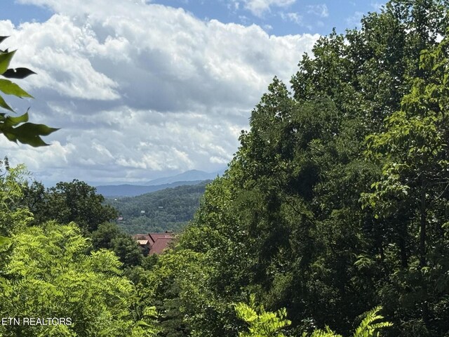 0 Smoky Vista Way, Sevierville, TN 37862 - photo 1