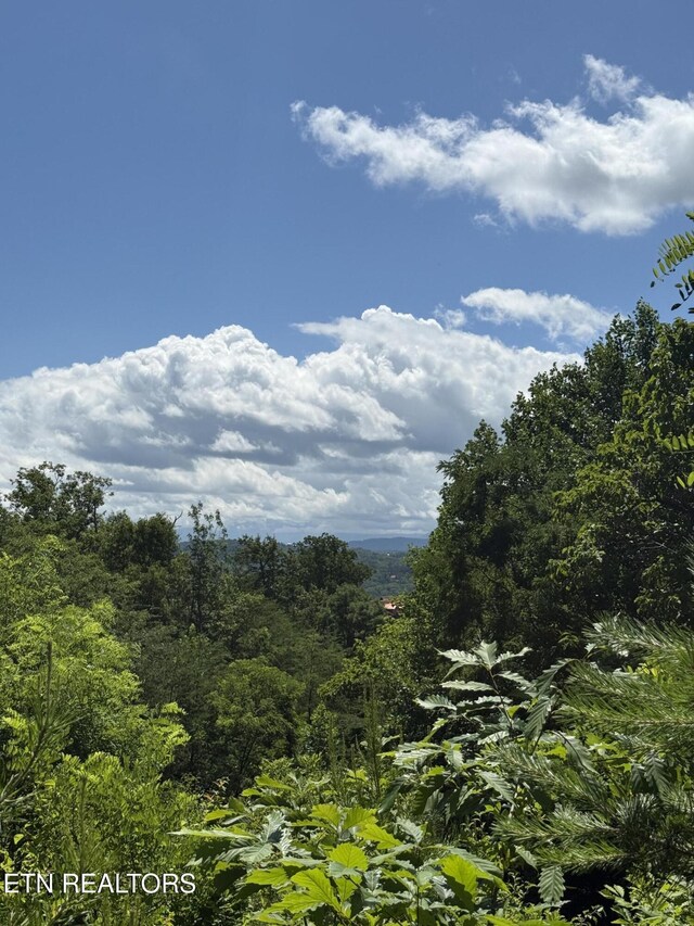 0 Smoky Vista Way, Sevierville, TN 37862 - photo 3