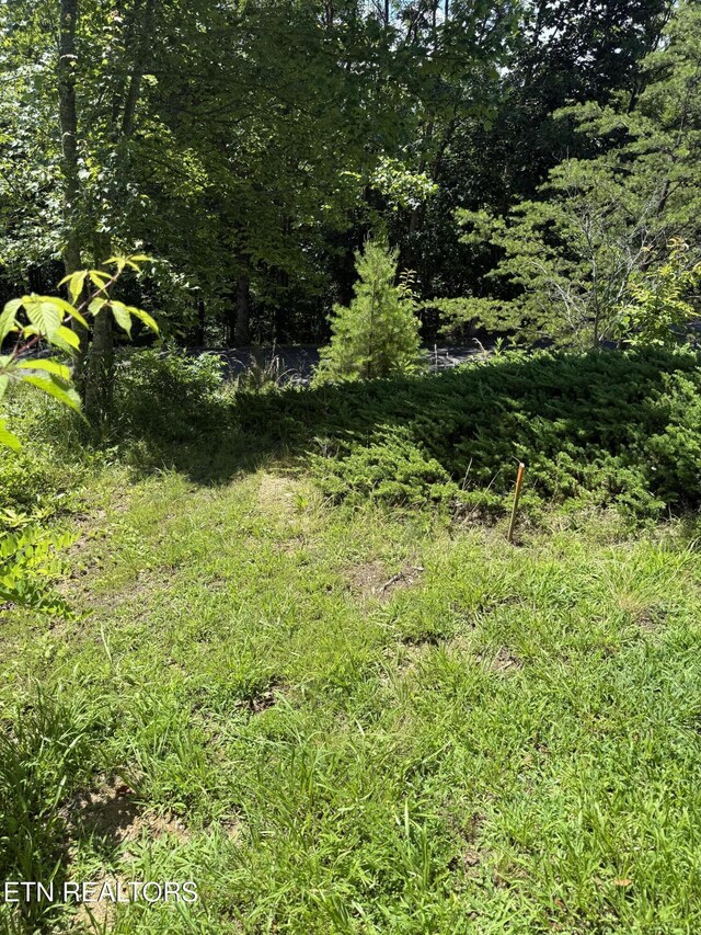 0 Smoky Vista Way, Sevierville, TN 37862 - photo 4
