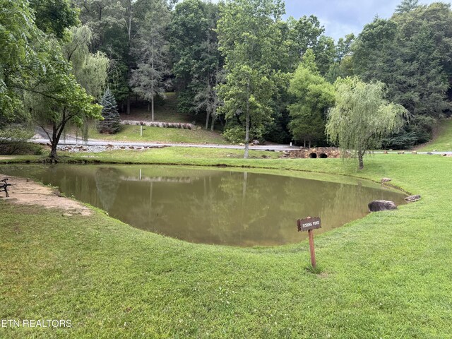 0 Smoky Vista Way, Sevierville, TN 37862 - photo 6