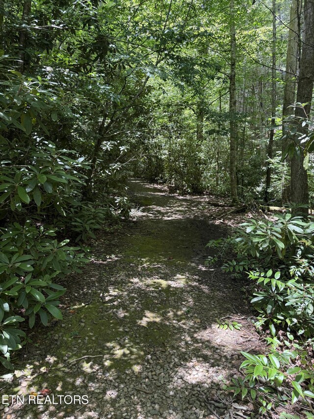 0 Smoky Vista Way, Sevierville, TN 37862 - photo 9