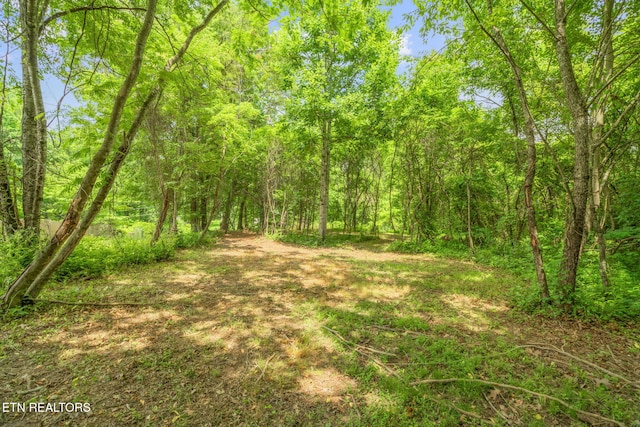 TRACT2 Black Oak Rd, Clinton, TN 37716