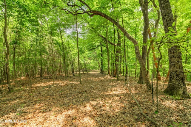 TRACT2 Black Oak Rd, Clinton, TN 37716