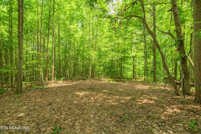 TRACT2 Black Oak Rd, Clinton, TN 37716
