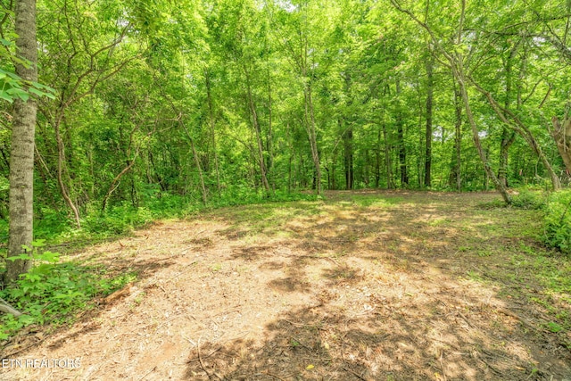 TRACT2 Black Oak Rd, Clinton, TN 37716
