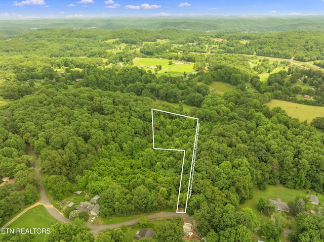 TRACT2 Black Oak Rd, Clinton, TN 37716
