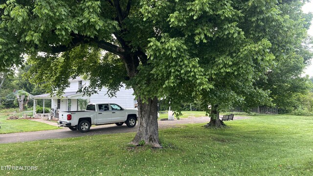 104 Hereford St, Tellico Plains, TN 37385 - photo 3