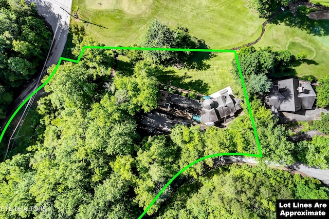 3950 Castle Rd, Gatlinburg, TN 37738 - aerial view of property and surrounding area featuring property boundaries highlighted