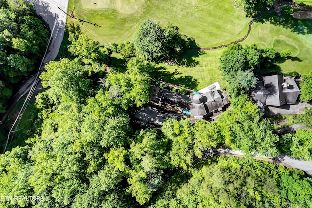 3950 Castle Rd, Gatlinburg, TN 37738 - aerial view