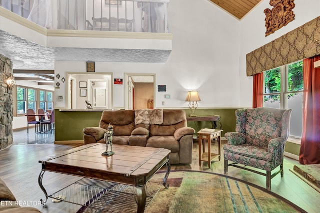 3950 Castle Rd, Gatlinburg, TN 37738 - living room featuring hardwood / wood-style floors and high vaulted ceiling