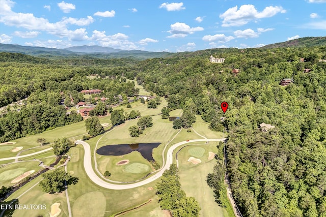 3950 Castle Rd, Gatlinburg, TN 37738 - view of property location featuring a heavily wooded area