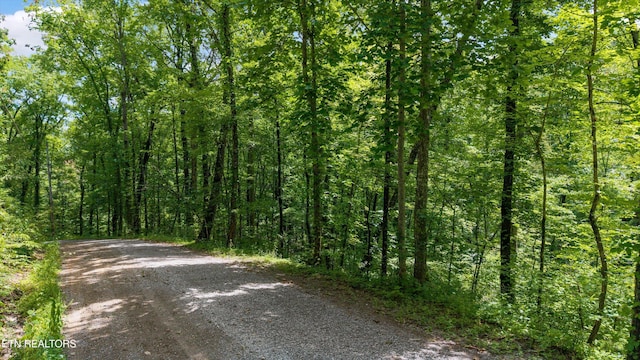 1618 Walnut Flats Rd, Walland, TN 37886 - photo 7