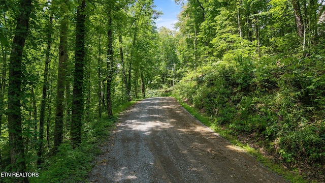 1618 Walnut Flats Rd, Walland, TN 37886 - photo 8