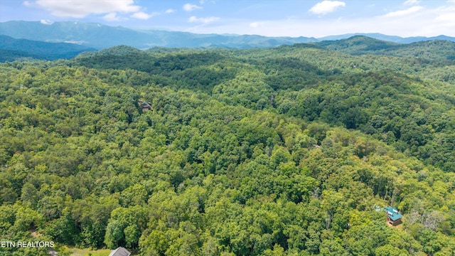 1618 Walnut Flats Rd, Walland, TN 37886 - photo 3