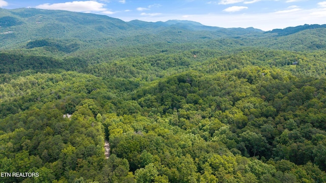 1618 Walnut Flats Rd, Walland, TN 37886 - photo 1